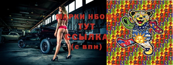 сатива Верея