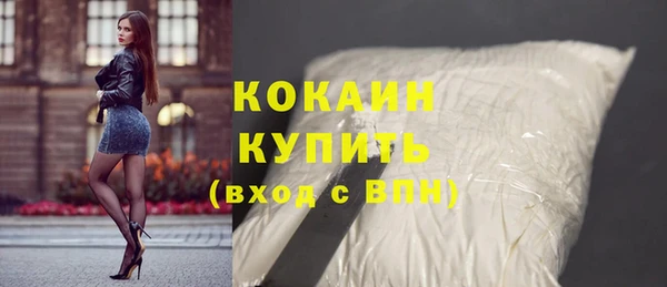сатива Верея