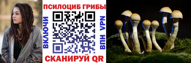 даркнет сайт  Истра  мега tor  Галлюциногенные грибы мухоморы 